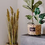 La88 Bayview Ii * 슬리에마